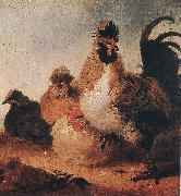 CUYP, Aelbert Rooster and Hens dfg oil on canvas